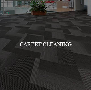 CARPER-SERVICES